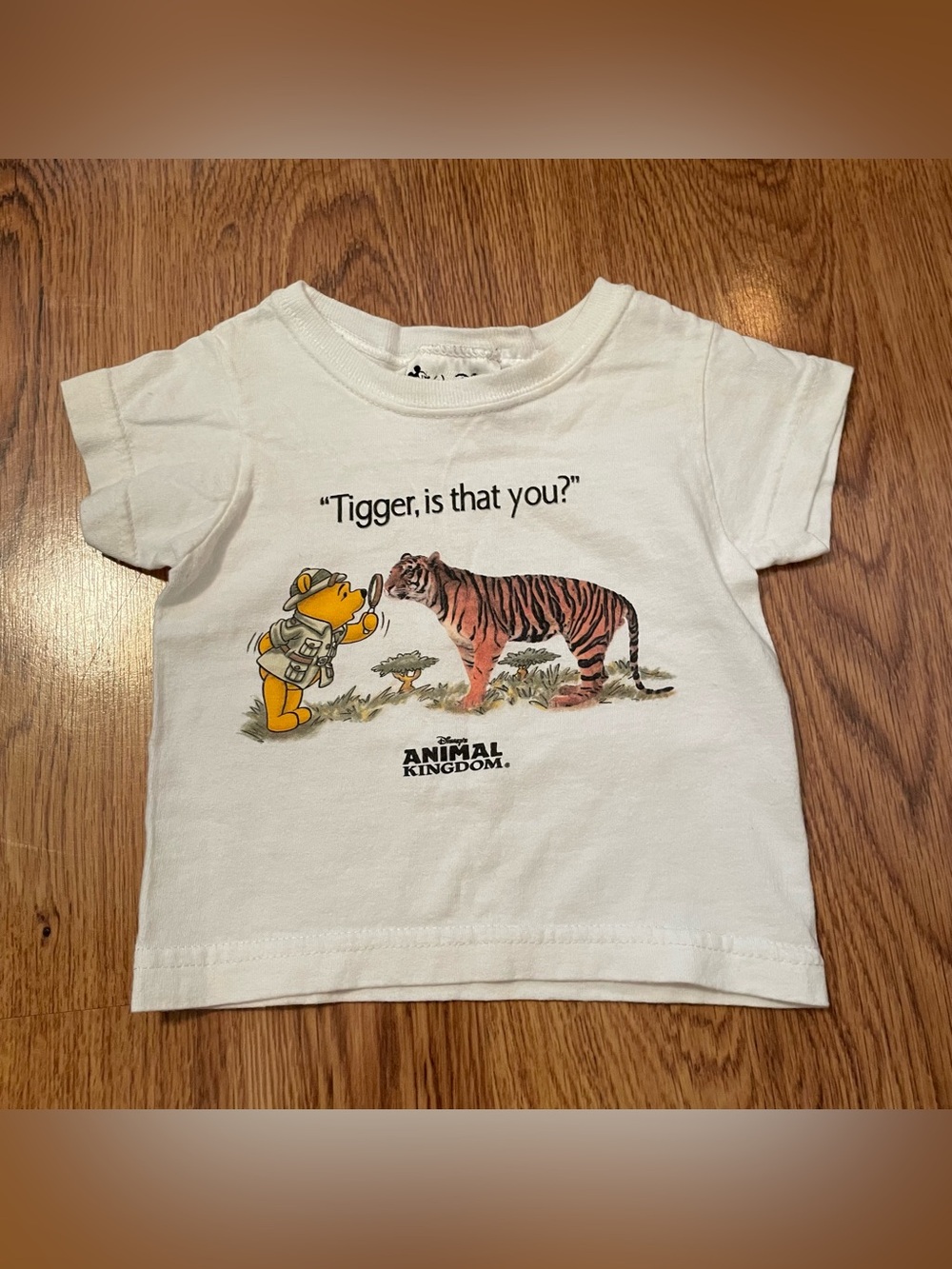 Vintage 90s Disney World Baby Animal Kingdom Tiger is that You? Pooh Tee